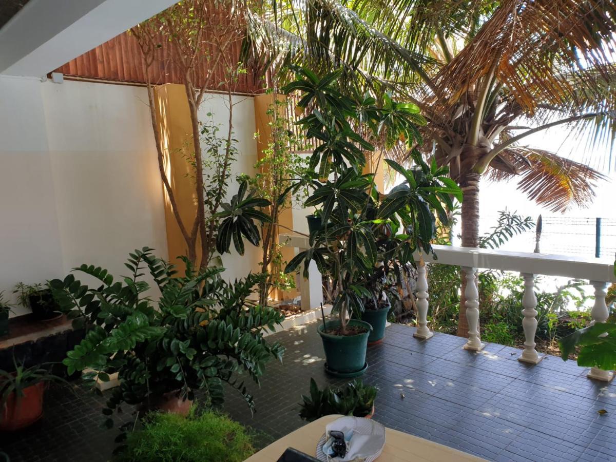 Cactus Guest House Cidade Velha Екстер'єр фото